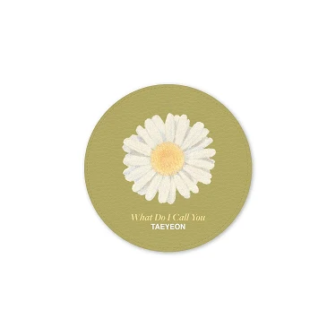 GIRLS' GENERATION TAEYEON WHAT DO I CALL YOU COASTER