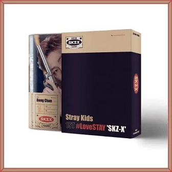 STRAY KIDS 1ST #LOVESTAY SKZ-X PHOTO BOOK SET