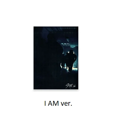 STRAY KIDS I AM NOT 1ST MINI ALBUM
