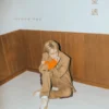 KIM JAE JOONG  AYO  MINI ALBUM VOL 2
