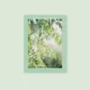 MONSTA X 2020 PHOTOBOOK XIESTA 2 MONSTA X 2020 PHOTOBOOK XIESTA