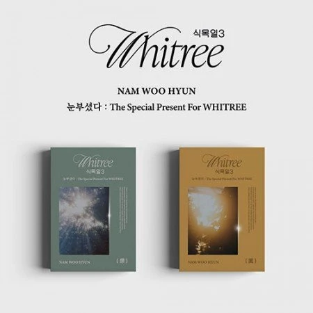 INFINITE  NAM WOOHYUN THE SPECIAL PRESENT FOR WHITREE (식목일 3 LIVE VER.)